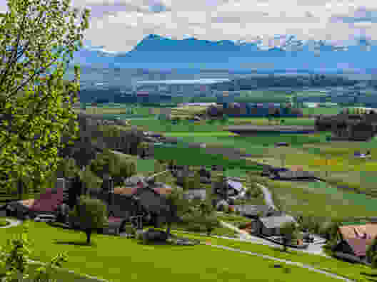 Frühlingsgenuss auf Luzernisch
