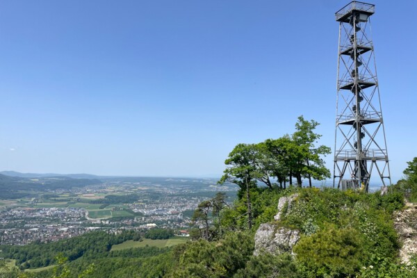 «Chriesibluescht» nahe des Gempen