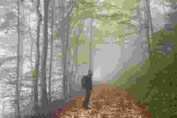 Bei mystischer Stimmung über die Homberglücke