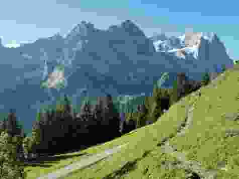 Nachmittagsrunde an der Alp Grindel
