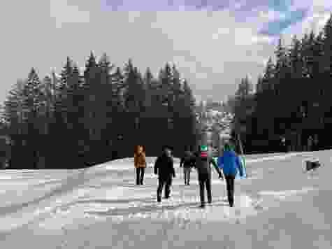 Panoramawanderung über verschneite Hochmoorflächen