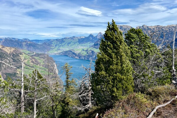 Rundwanderung ab Isenthal hoch über dem Urnersee