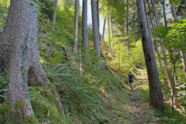 Der Urnersee – da wandern, wo andere malten