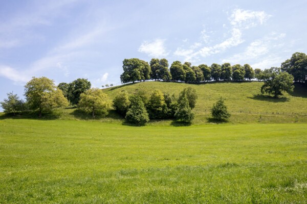 Le jardin thurgovien de Charlemagne