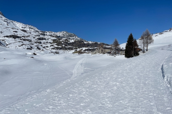 Courte randonnée au col du Simplon
