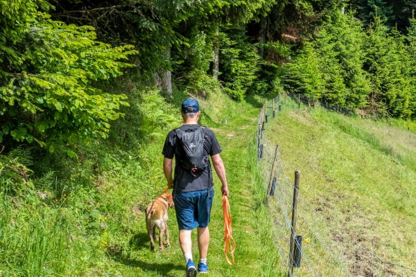 Tranquilla escursione ai margini dell’Emmental