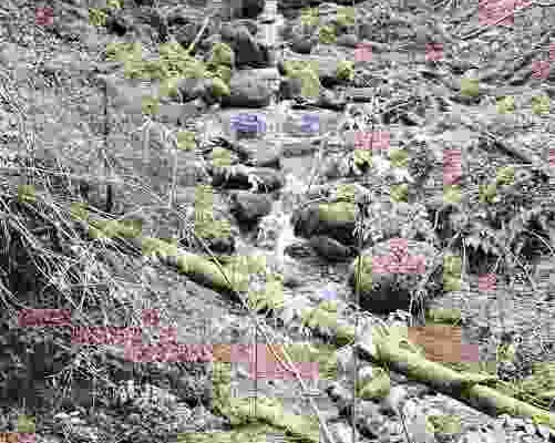 Wandererlebnis: Bach und Wasser