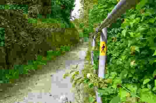 Auf dem Uferweg zum Baselbieter Hardwald