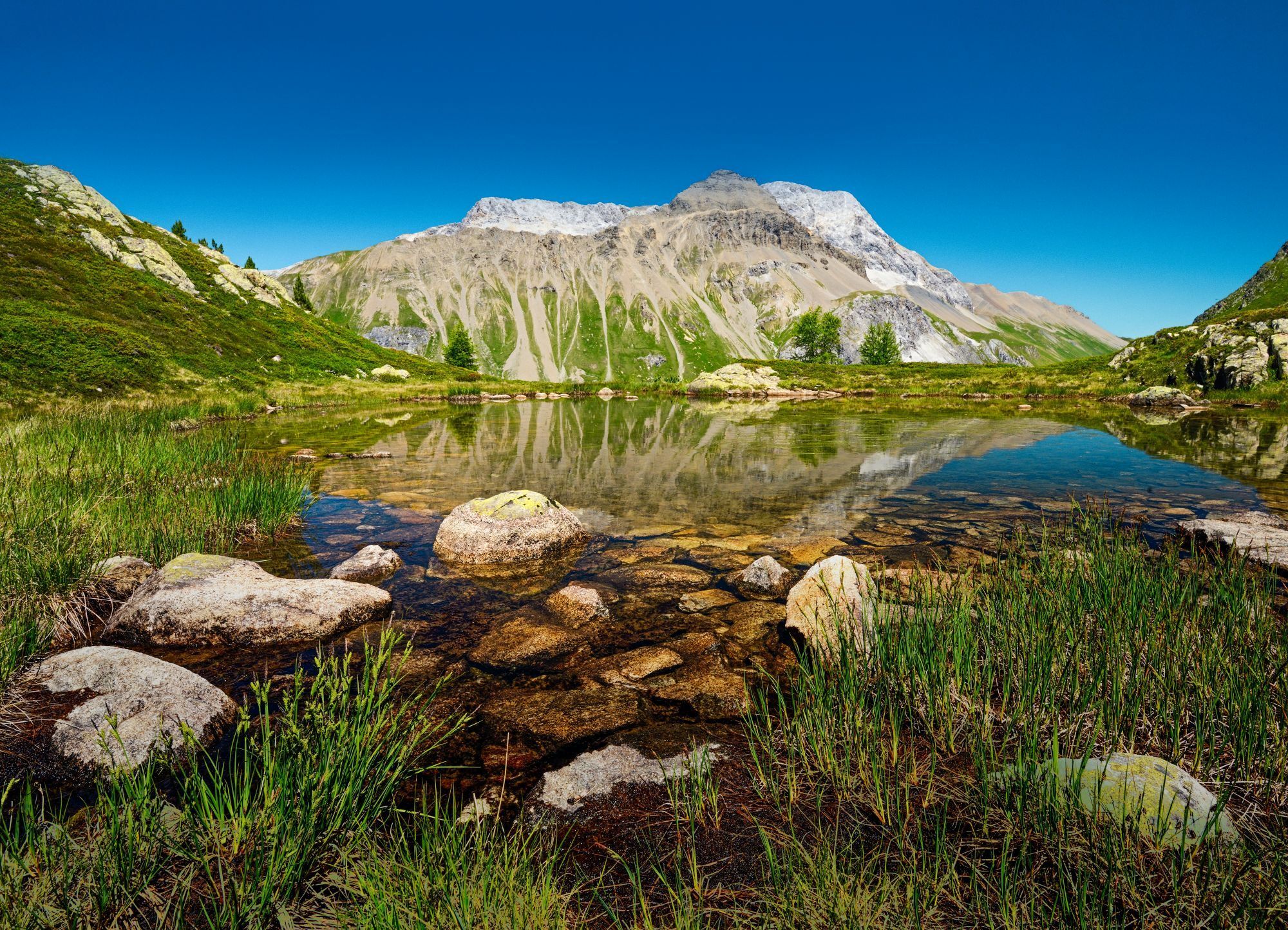 CBC_7665_r