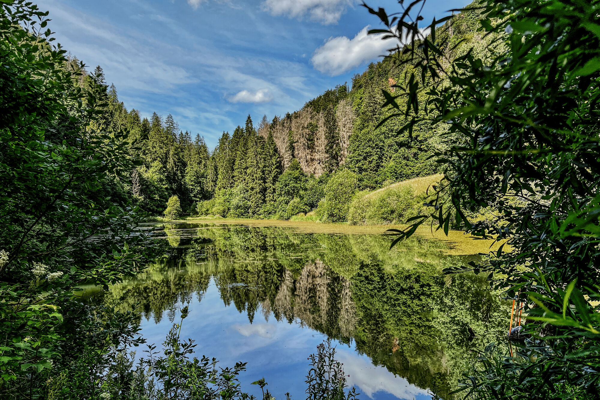 Tabeillon_00015