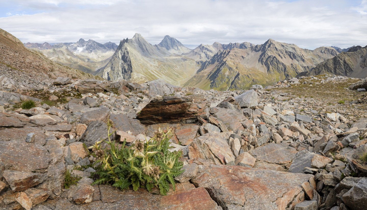 C Staffelbach Vereina Tag 1 _1002473-Pano