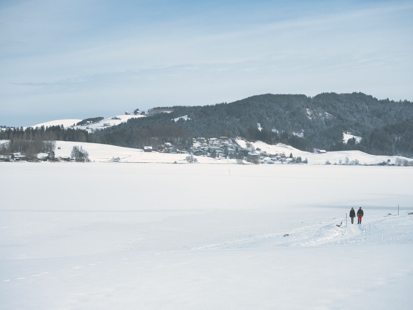 SWW_Winter_2021_2151187
