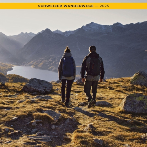 SWW_Jahresbericht_2025