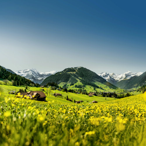 GSTAAD_FRÜÜHLING_KEYVISUAL_quer_8Bit_RGB (2)