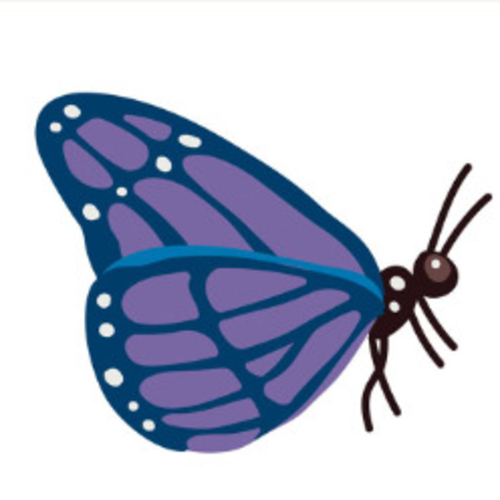 Post Schmetterling