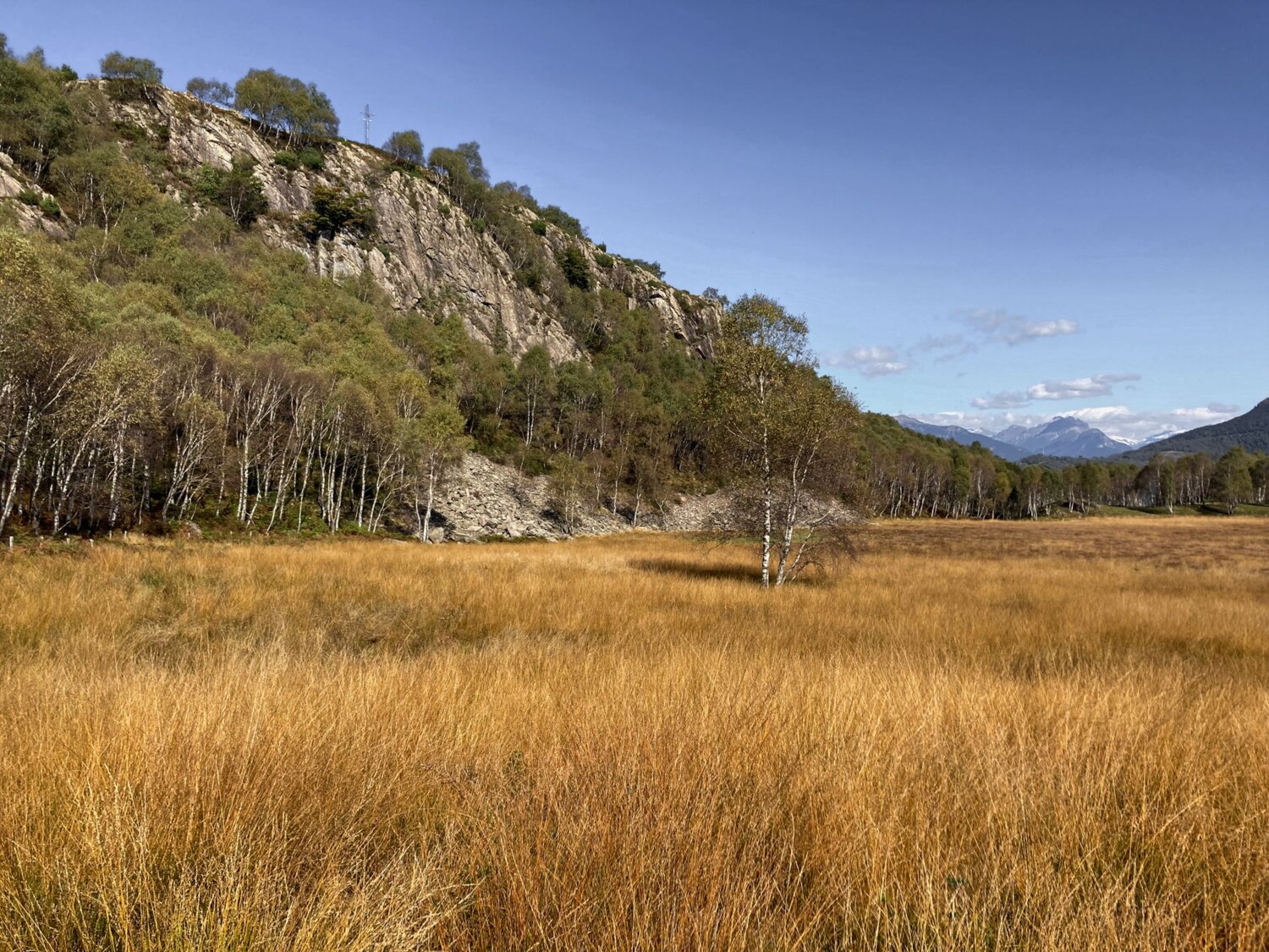 Moorlandschaft zwischen den Rundhöckern bei Gola di Lago.