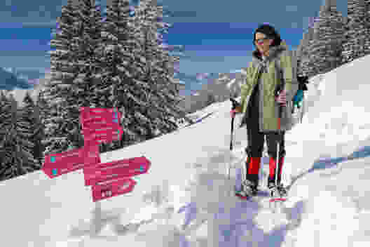 Punkt 1502 und die vielen Schneeschuhpfade, die von hier aus begangen werden können. Der Wegweiser ist fast eingeschneit.