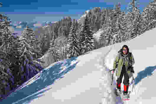 Verschneite Tannenwälder und frischer Schnee. Naht der Frühling, wird der Schnee gegen Mittag sulzig und beginnt, von den dunklen Ästen zu tropfen.