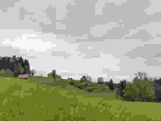Hügel, Wiesen und verstreute Höfe. Bild: Evelyne Zaugg