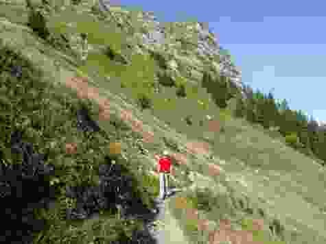 Auf der Ostseite des Moléson.