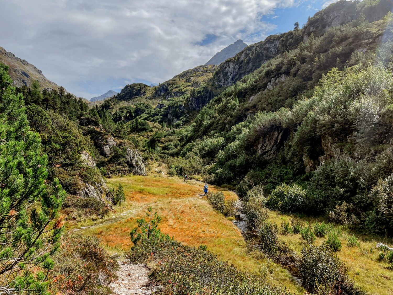 Das Hochmoor In Miseren mit dem Gadmerwasser.