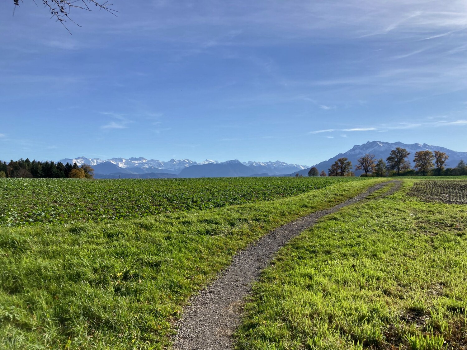 Einladender Wanderpfad mit Pilatus rechts und den Zentralschweizer Alpen links.