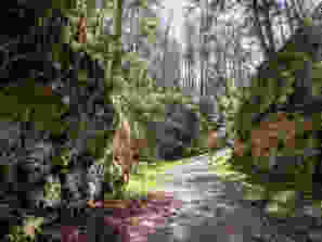 Bevor man die Vacherie Mouillard erreicht, schlängelt sich der Weg durch die Felsen.