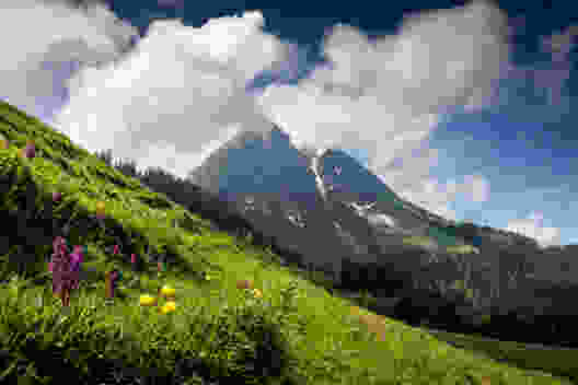 Der unbestrittene Star der Region: der Moléson. Nur mit viel Farbe gelingt es der Flora, sich abzuheben. Bild: Severin Nowacki