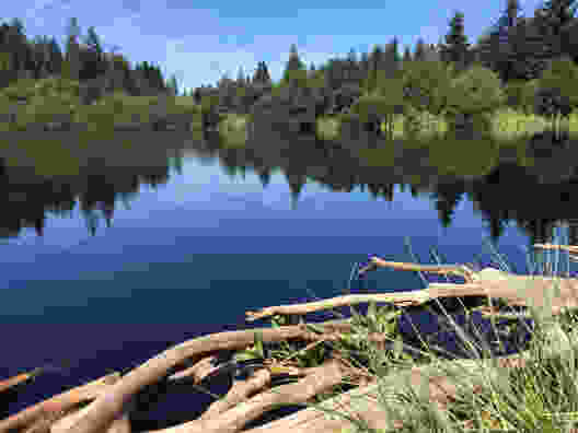 Der Etang des Royes ist weniger überlaufen als der nahe gelegene Etang de la Gruère. Bild: R. Kappeler