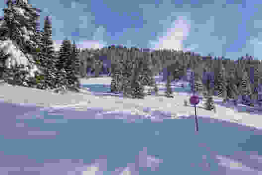 Frisch verschneite Landschaft, aber mit einer schönen Spur. So macht Schneeschuhwandern Spass. Bild: Elsbeth Flüeler