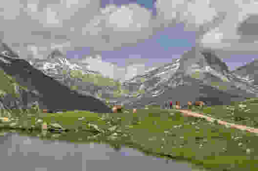 Lai Urlaun unterhalb der Maighelshütte mit Blick zurück Richtung Oberalppass. Bild: Daniel Fuchs