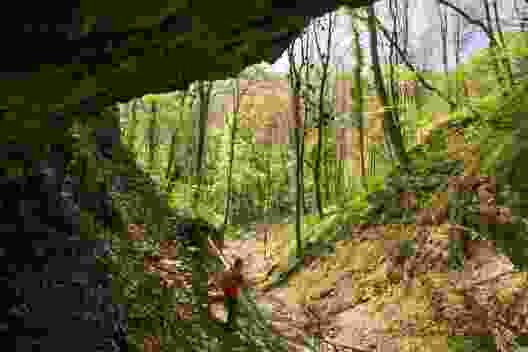 Der Weg fädelt sich an den Ruschbachfällen vorbei ins Ruschbachtal.