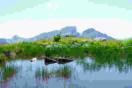 Moorgebiet mit Wollgras auf den Schlachtböden. Bild: Christiana Sutter