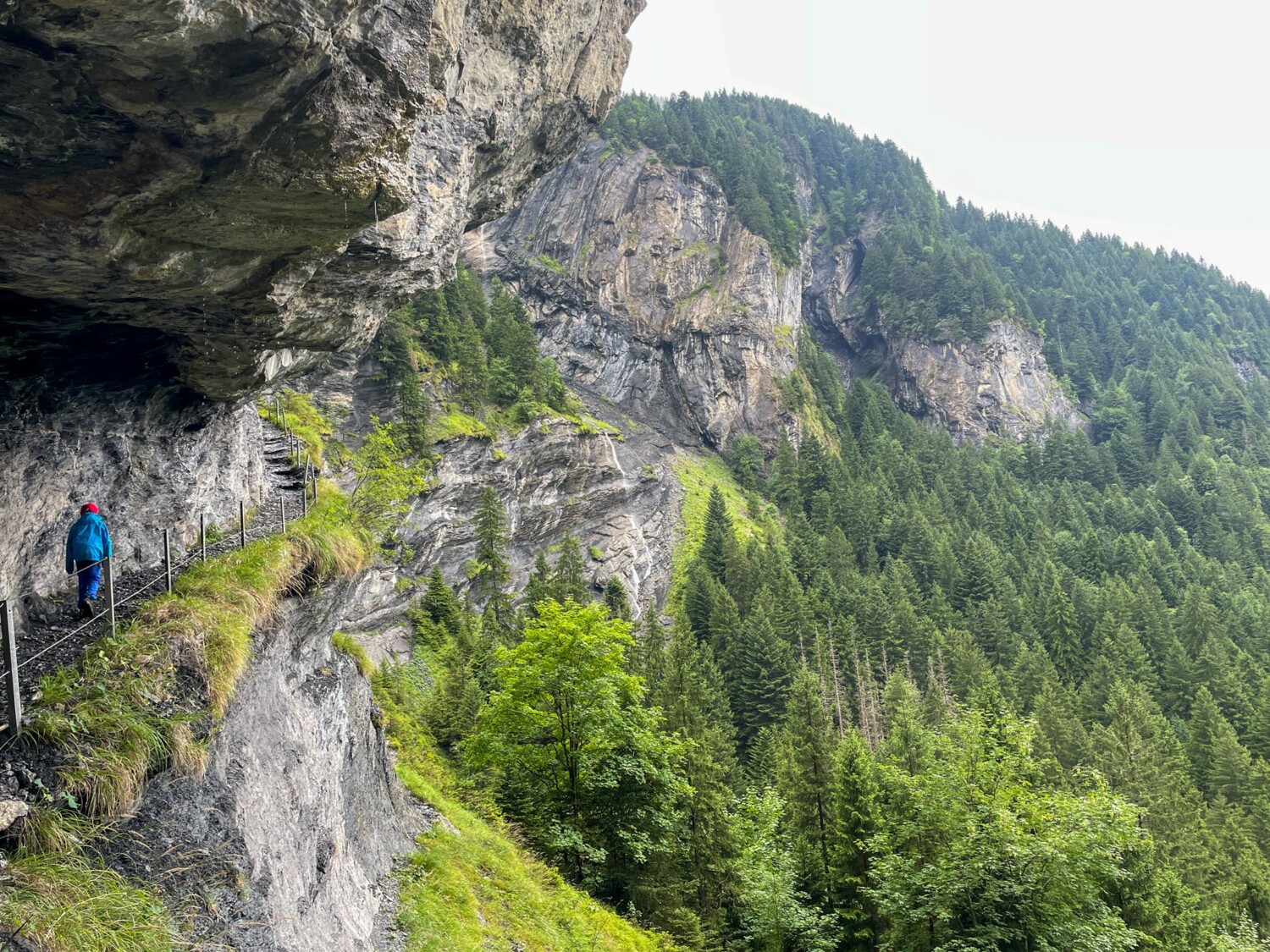 Im Aufstieg zur Alp ist Schwindelfreiheit gefragt – trotz Zaun.