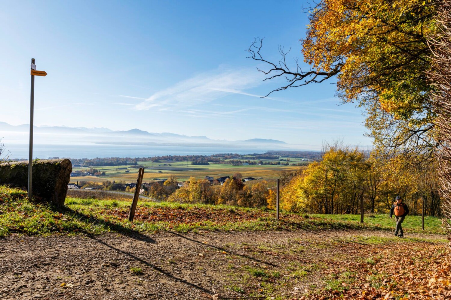 Vue depuis Bugnaux sur le vignoble et le lac Léman