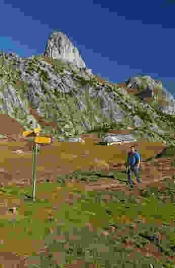 Oberhalb der Alpage de Loz ist alles nur mehr Weiden und Berge. Bild: natur-welten.ch