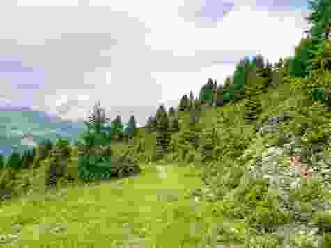 Je näher am Ende, desto mehr Vegetation.