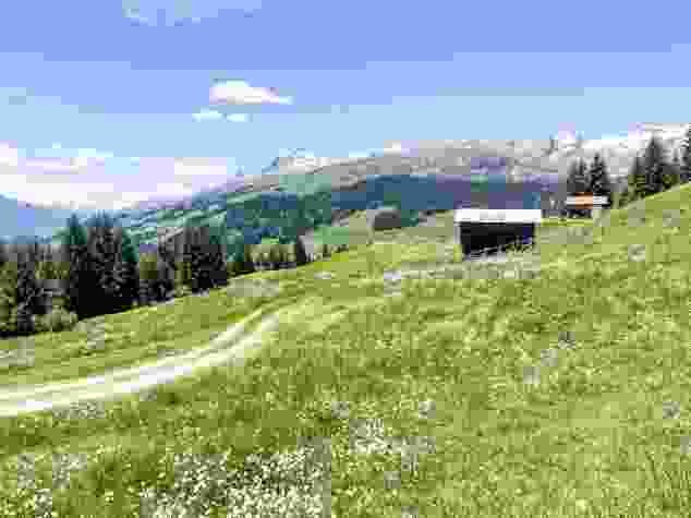 Prati in fiore lungo il sentiero da Pigniu a Siat.