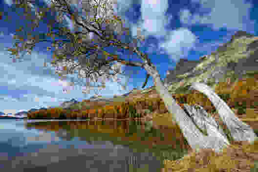 Depuis la rive est du lac de Sils, on aperçoit la presqu’île Chastè.
Photo: natur-welten.ch