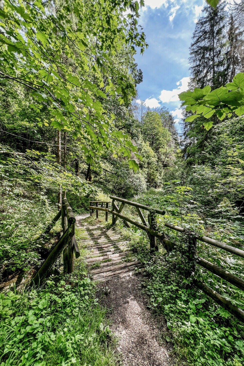 Die Wege rund um den Etang de Bollement werden von Jura Rando bestens gepflegt.