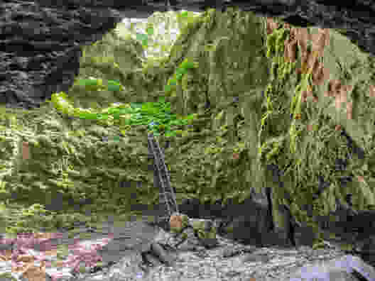 Der Blick aus der Höhle. Über diese Leiter gelangt man zurück auf den Weg. Bild: Anna Kocher