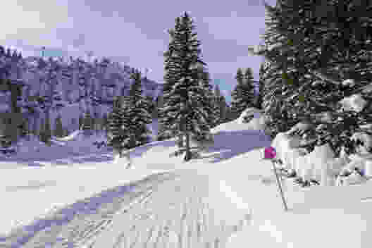 Auf breiten Pfaden geht es dem Col-de-Bretaye entgegen. Bild: Elsbeth Flüeler