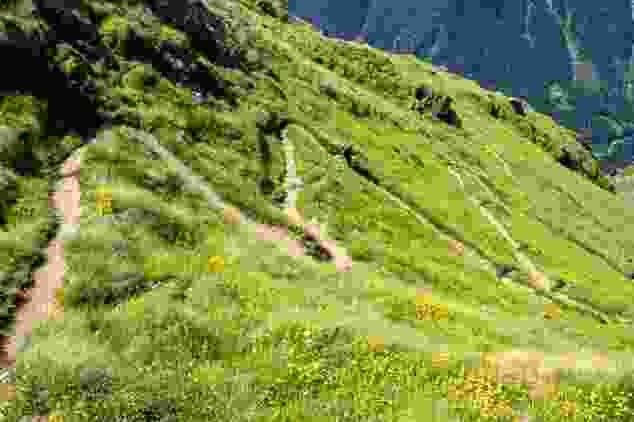 In vielen engen Kehren steigt der Sentier des Chamois vom Col Termin hinunter an den Lac de Louvie.