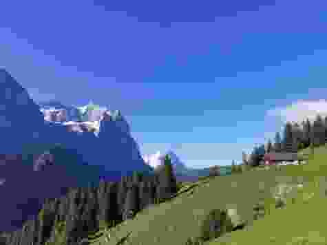 A Mettlen, avec le Wetterhorn au loin.