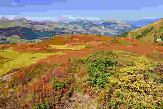 Über das Val d’Illiez hinaus geht der Blick auf den Mont de Grange und die Cornettes de Bise. Bild: natur-welten.ch
