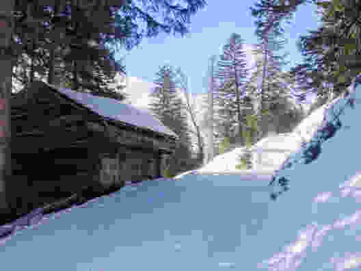 Der Winterwanderweg führt durch verschneite Tannenwälder. Bild: Claudia Peter