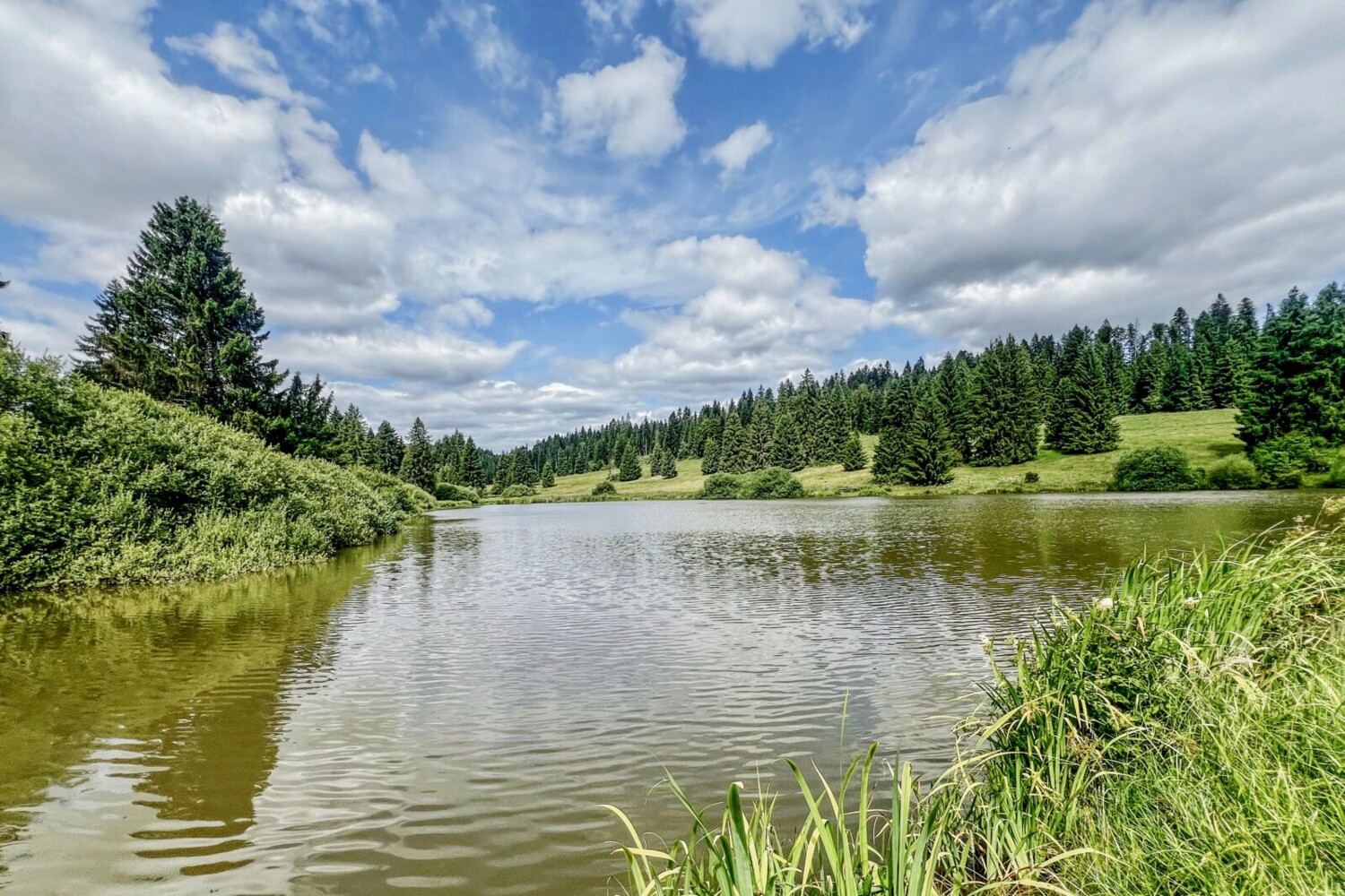 Au fil du Tabeillon dans les Franches Montagnes
