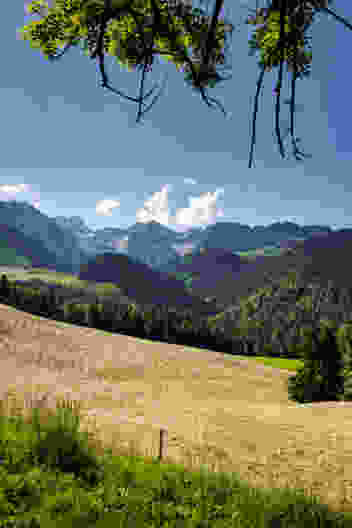 Auch das ist Greyerz. Die Landschaft ist sanft, die Voralpen sind noch fern. Bild: Severin Nowacki