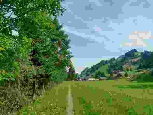 Un sentier rectiligne le long de la rivière Waldemme.