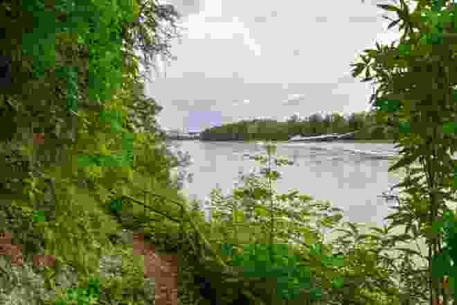 Auf dem Weg zum Hardwald wandert man dem Rhein entlang Richtung Basel.